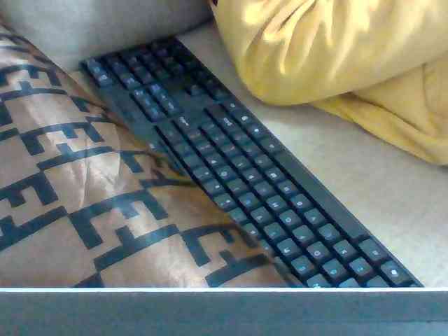 Dollie webcam