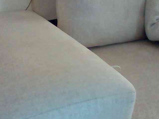 Dollie webcam