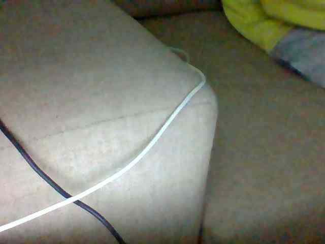 Dollie webcam