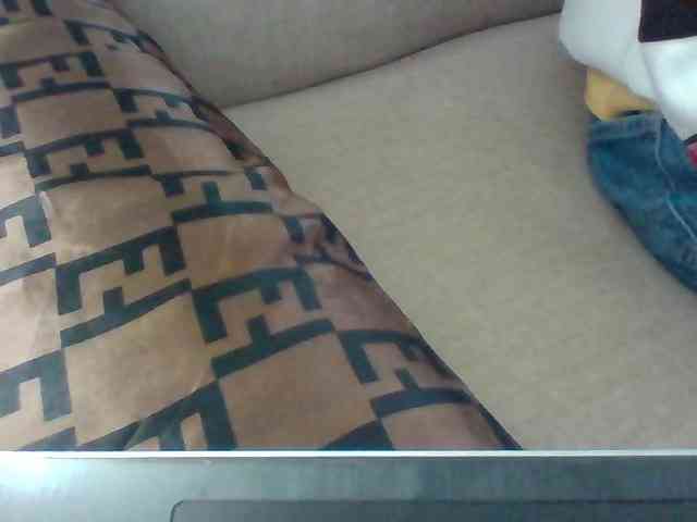 Dollie webcam