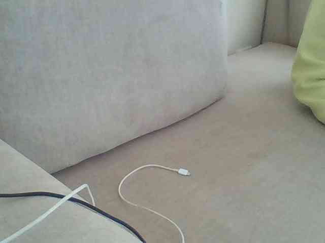 Dollie webcam