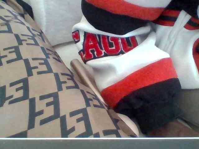 Dollie webcam