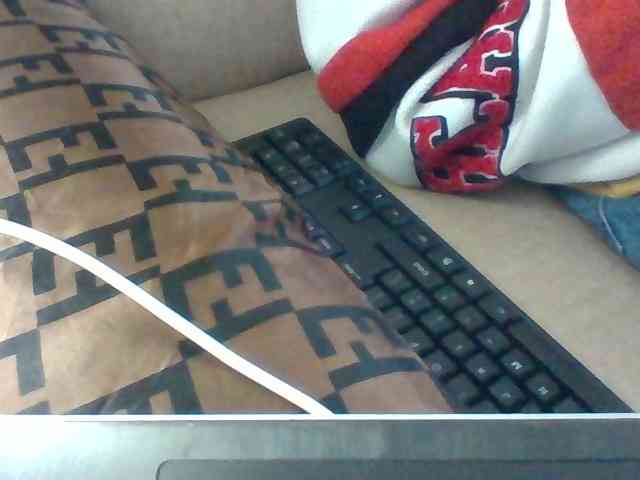 Dollie webcam