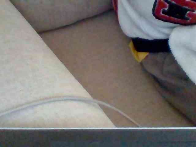 Dollie webcam