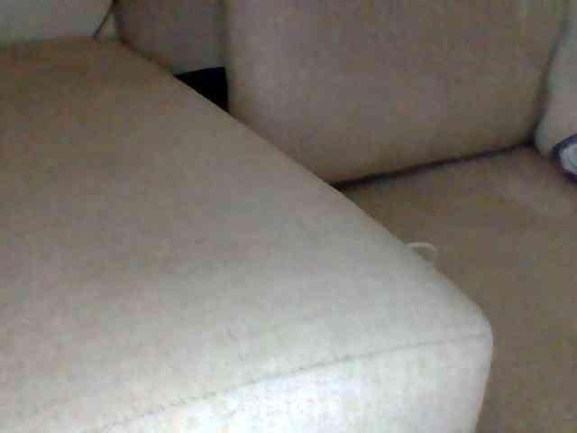 Dollie webcam