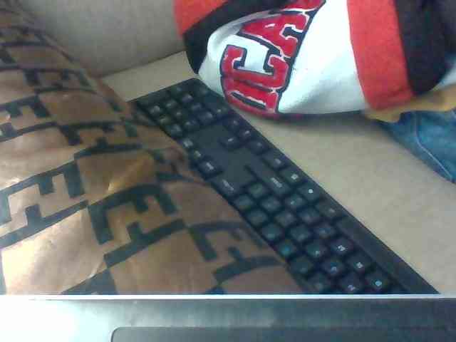 Dollie webcam