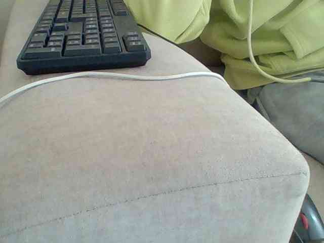 Dollie webcam