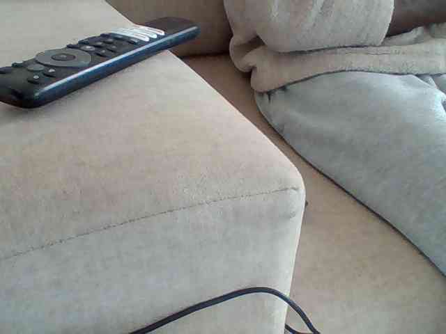 Dollie webcam
