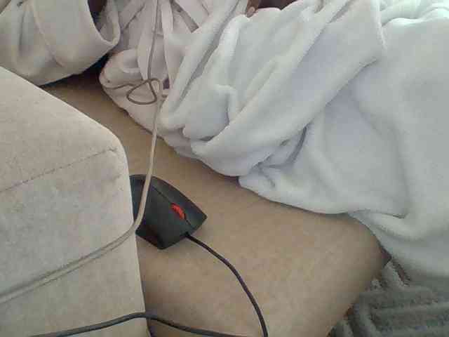 Dollie webcam