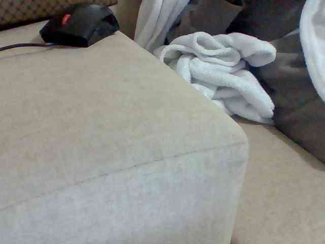 Dollie webcam