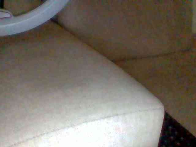 Dollie webcam