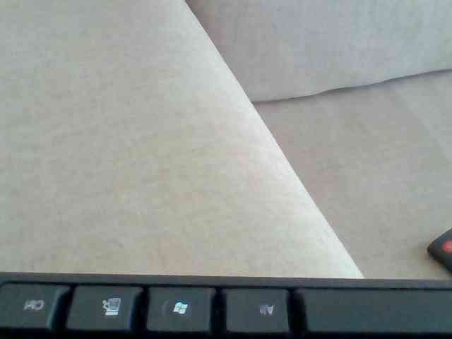 Dollie webcam