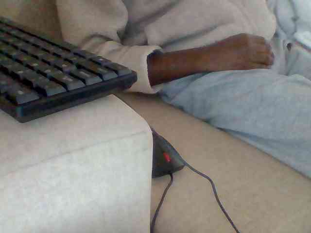 Dollie webcam