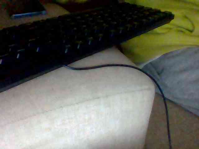 Dollie webcam