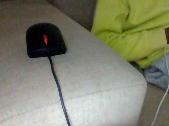 Dollie webcam
