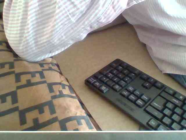 Dollie webcam