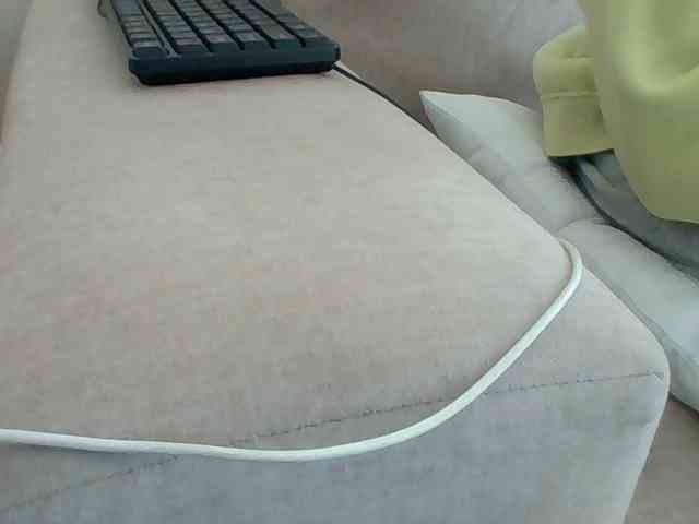 Dollie webcam