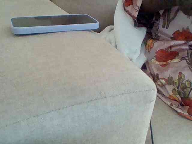 Dollie webcam
