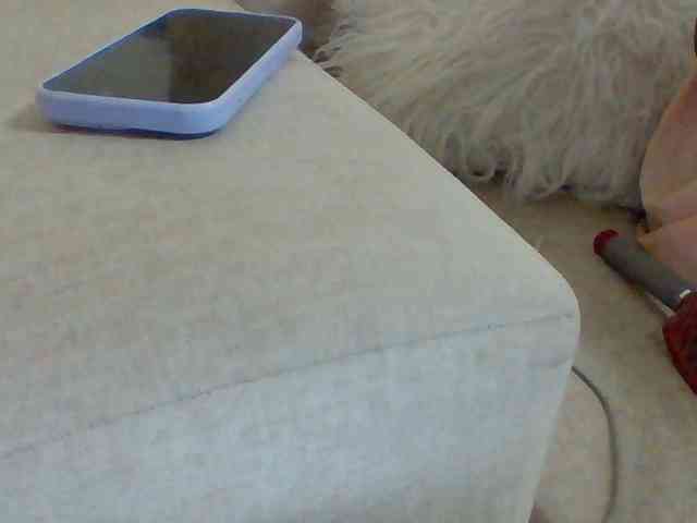 Dollie webcam
