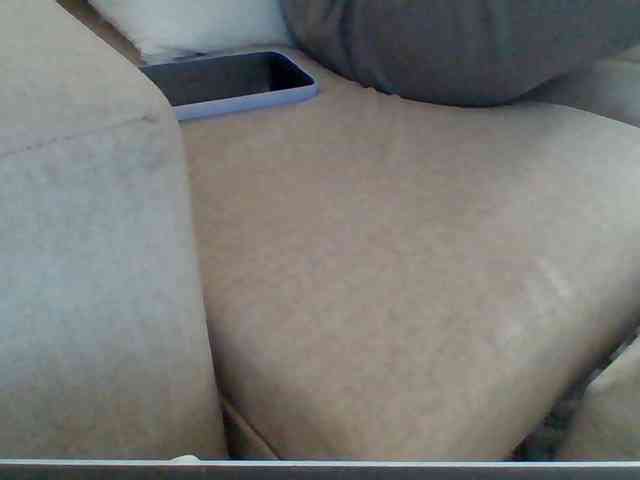 Dollie webcam