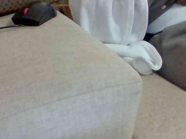 Dollie webcam