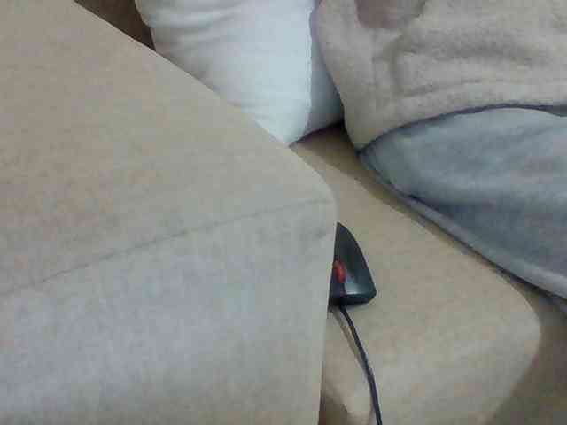 Dollie webcam