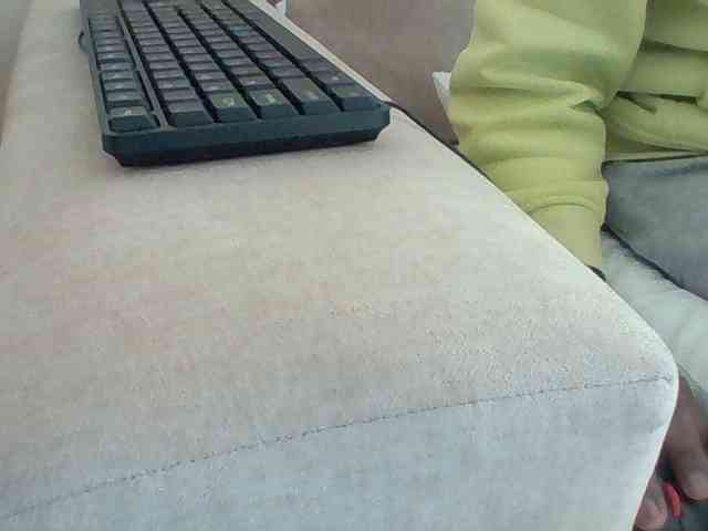 Dollie webcam