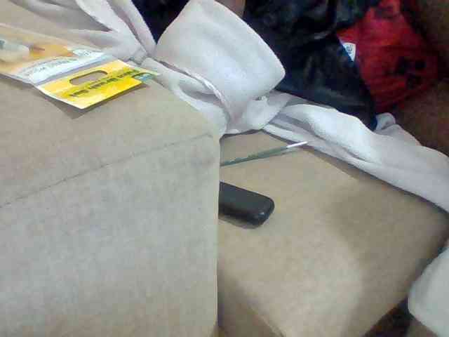 Dollie webcam