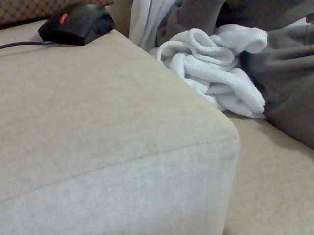 Dollie webcam