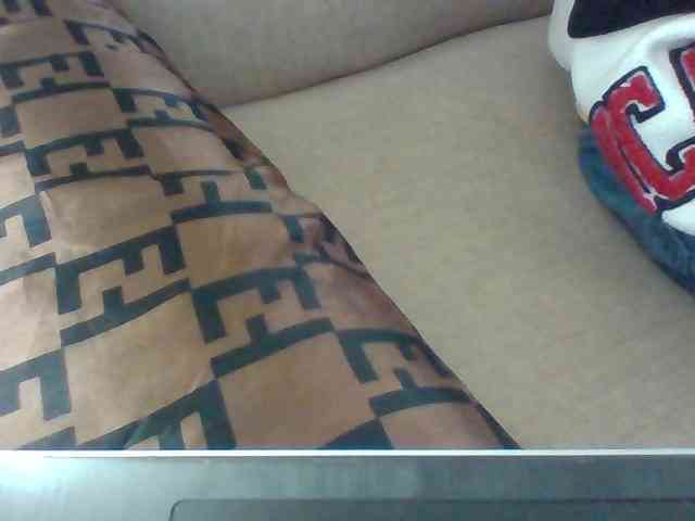 Dollie webcam