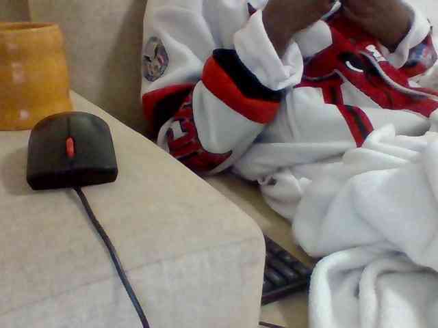 Dollie webcam