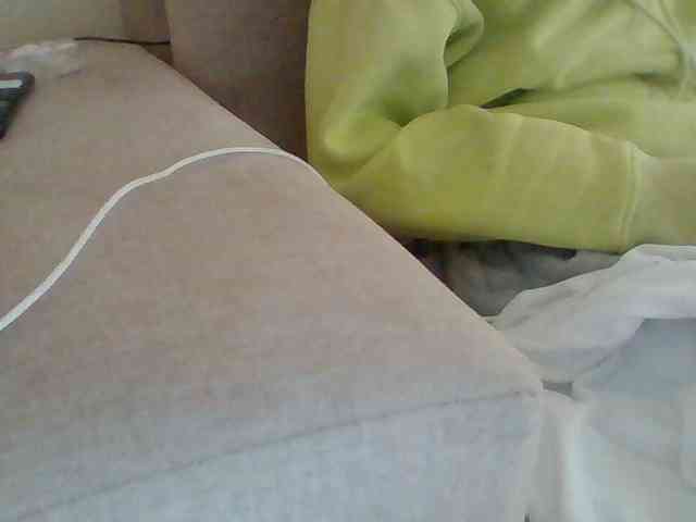 Dollie webcam