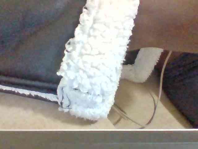 Dollie webcam