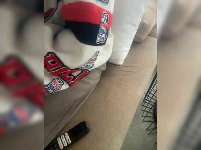 Dollie webcam