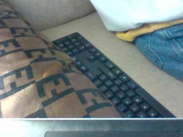Dollie webcam