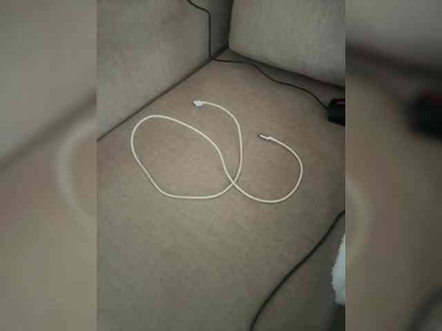 Dollie webcam