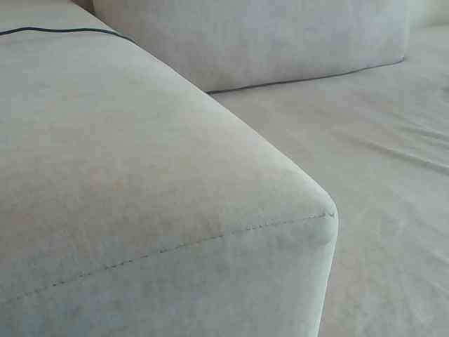 Dollie webcam