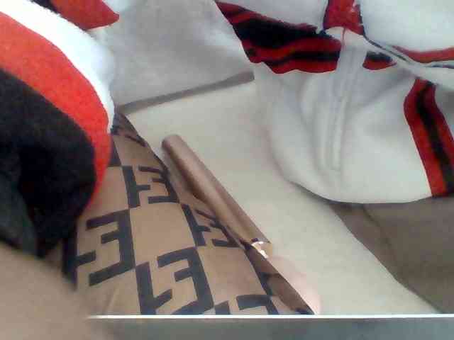 Dollie webcam