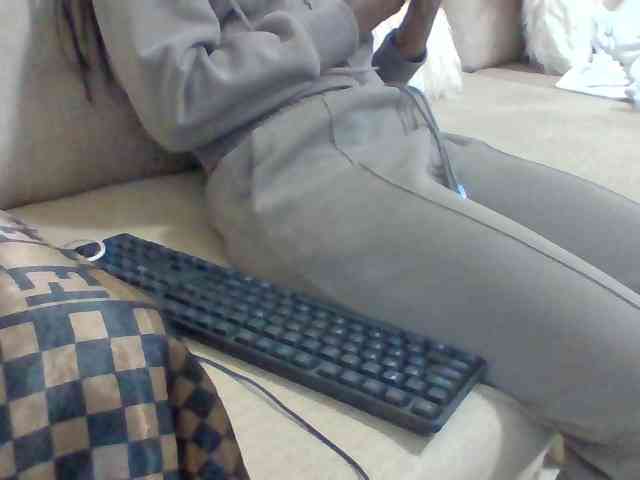 Dollie webcam
