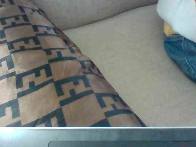 Dollie webcam