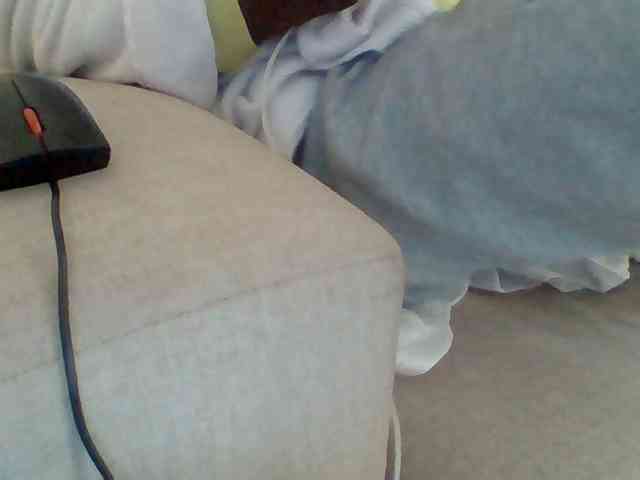 Dollie webcam