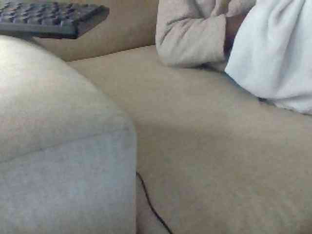 Dollie webcam