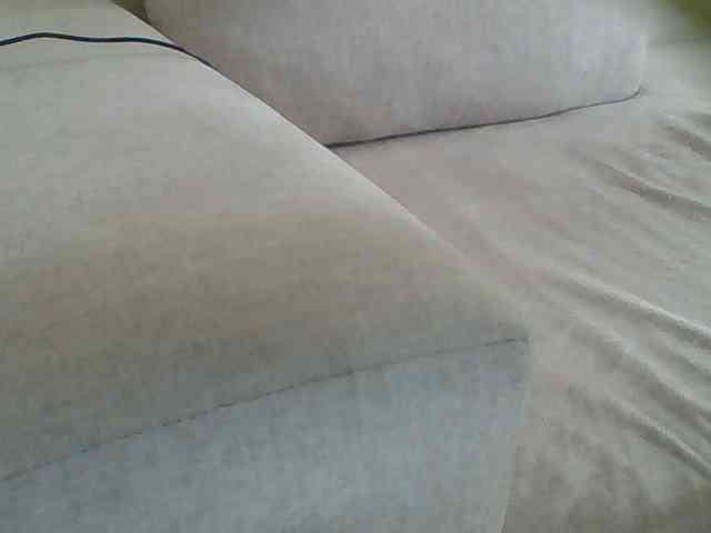 Dollie webcam