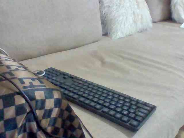 Dollie webcam