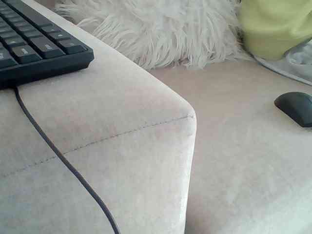 Dollie webcam