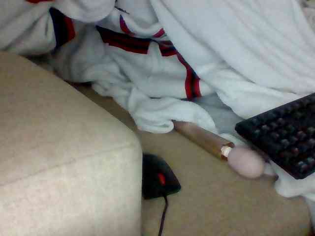 Dollie webcam