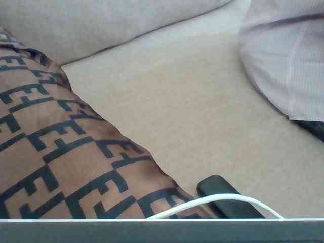 Dollie webcam