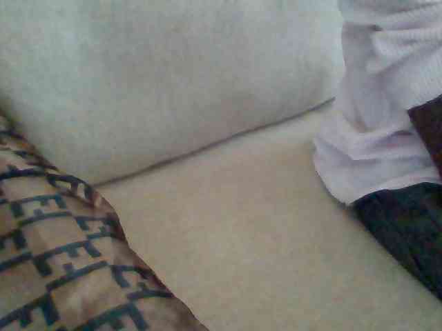 Dollie webcam