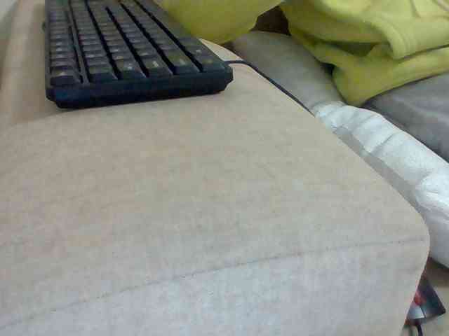 Dollie webcam