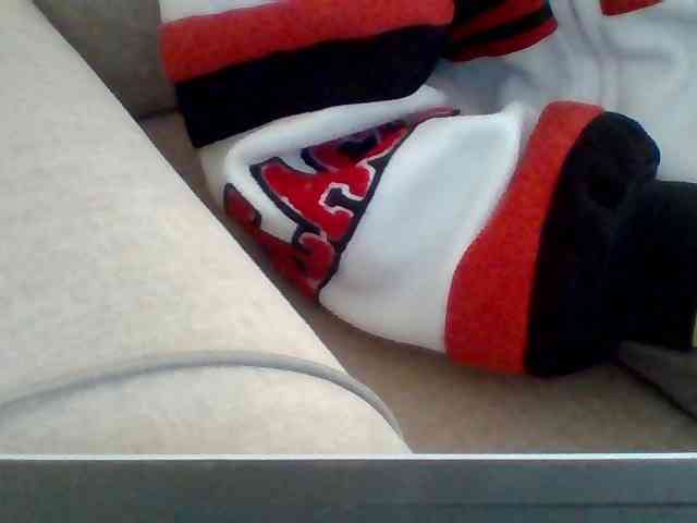 Dollie webcam